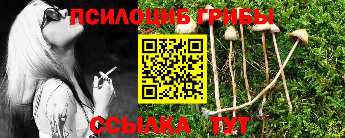 Галлюциногенные грибы Cubensis Ялта